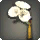 White Morning Glory Corsage - Helms, Hats and Masks Level 1-50 - Items